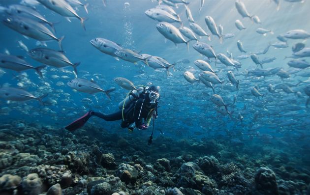 Diving