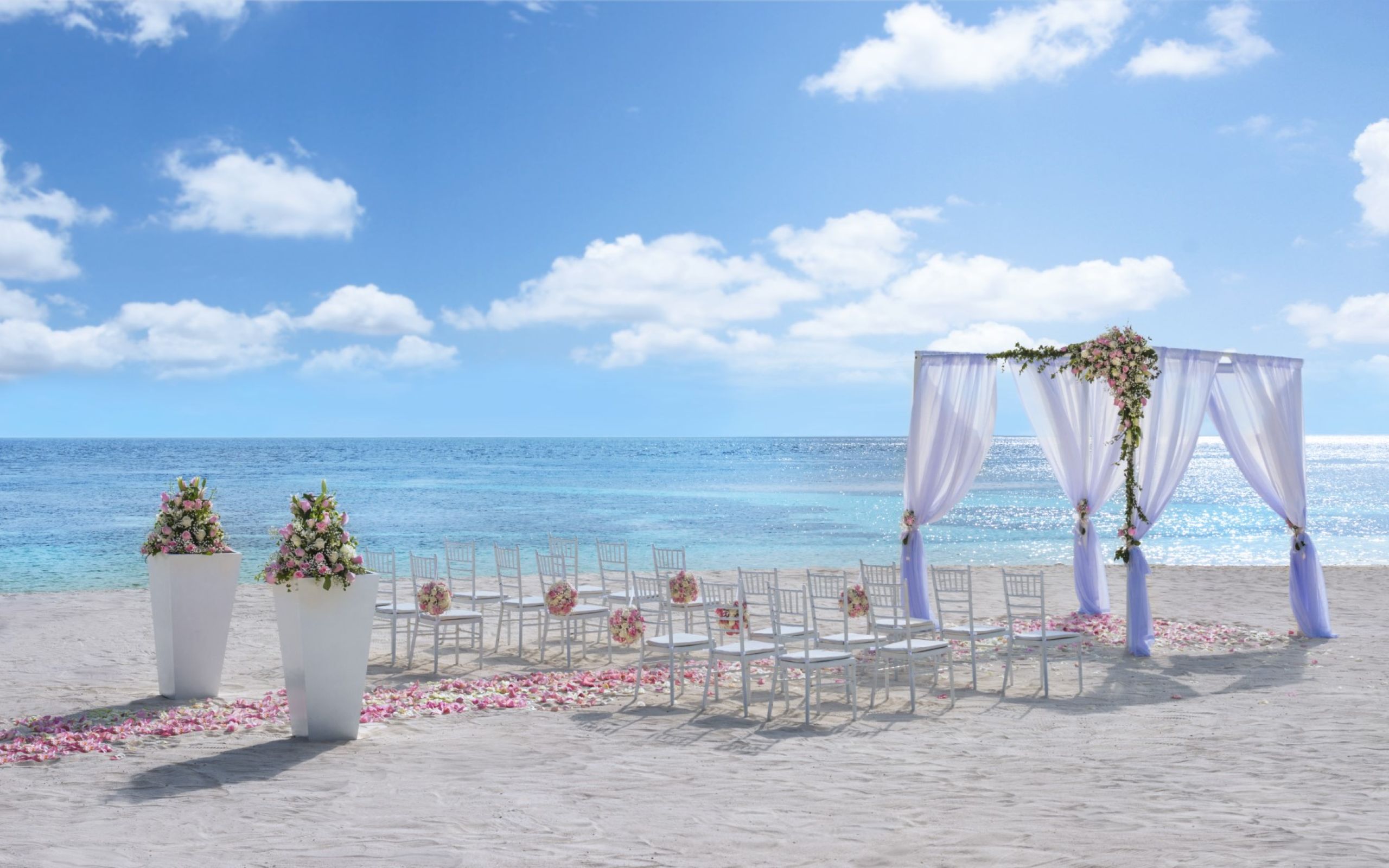 Weddings & Occasions