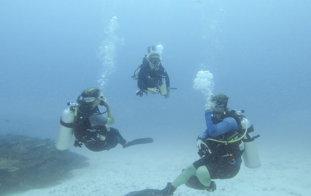 DIVING