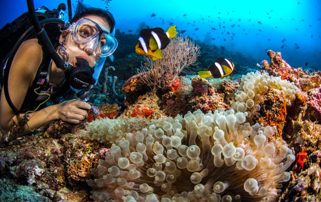 House Reef