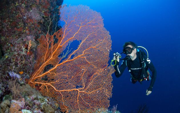 Scuba Diving