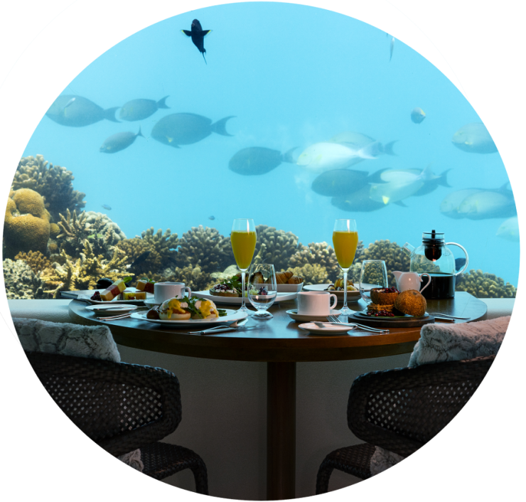 Underwater Breakfast