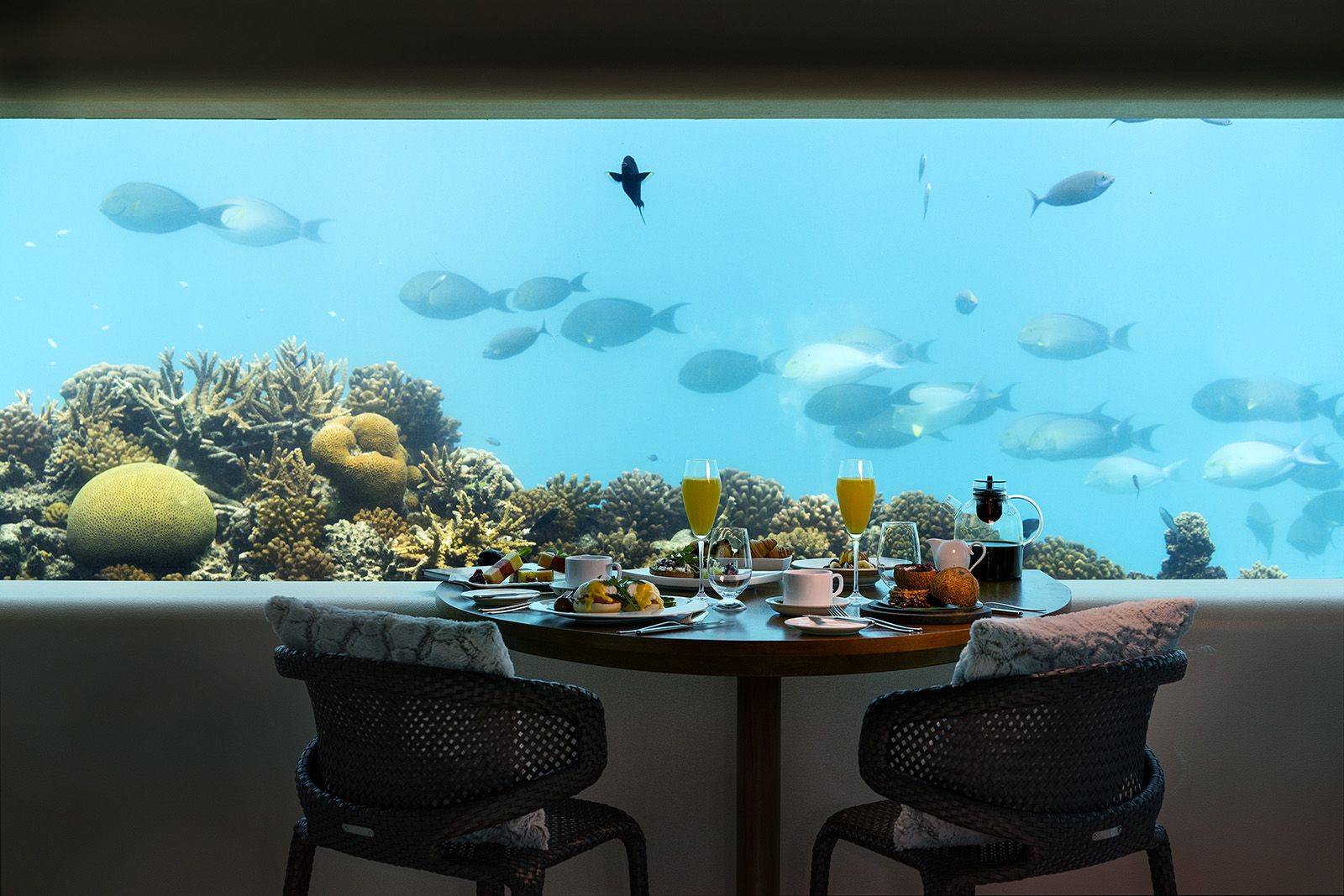 Underwater Dining