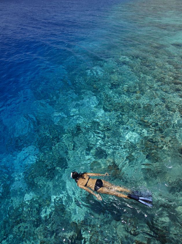 Snorkelling