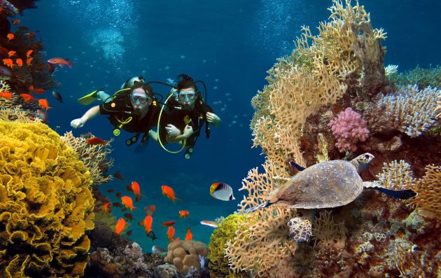 Diving