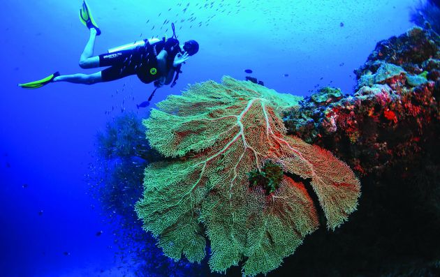 SCUBA DIVING