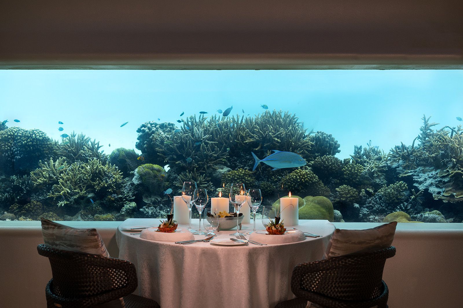 Underwater Dining